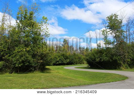 Road curving through the trees in the park. Blue sky with bright white clouds