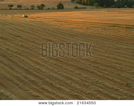 Collecting the Stalks