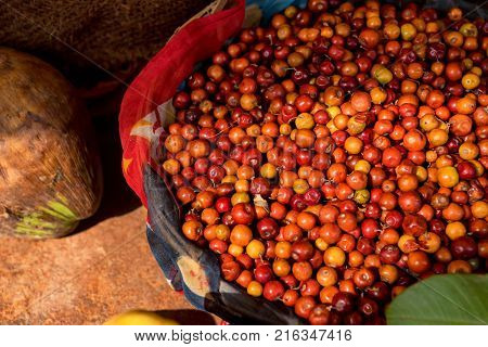 Close up of jujube fruit at market in India