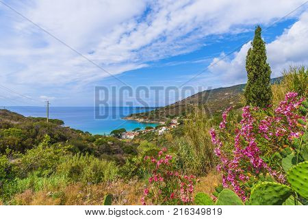 View of Cavoli beach Elba island Tuscany Italy.