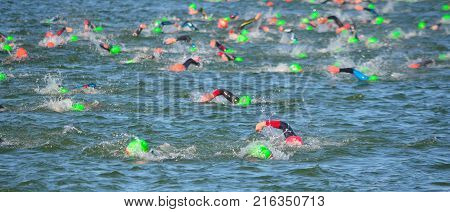 Competitors swimming in at the end of the swimming stage at the beginning of Triathlon.