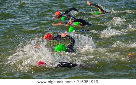 Competitors swimming in at the end of the swimming stage at the beginning of Triathlon.