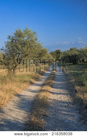 Mountain Landscape In Abruzzi At Summer