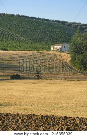 Mountain Landscape In Abruzzi At Summer