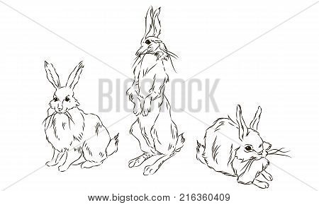 illustration the art of a watercolor drawing of three cute rabbits sitting on a soft light surface hand-drawn