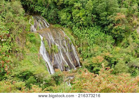 Tangoio Falls and the Kareaara stream in the Tangoio Falls Scenic Reserve north of Napier Hawkes Bay New Zealand