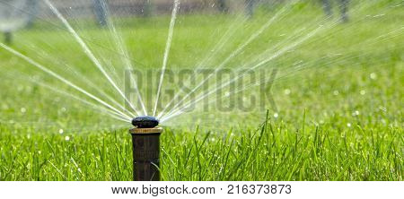 automatic sprinkler system watering the lawn on a background of green grass, close-up