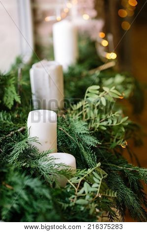 wedding decoration, environment, christmas concept. close up of white fat unlighted candles of different sizes that are drowning in the fresh green conifers bunches