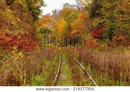 An old overgrown abandoned bygone railway track in Hudson Quebec Canada, surrounded by a blaze of fall colors.