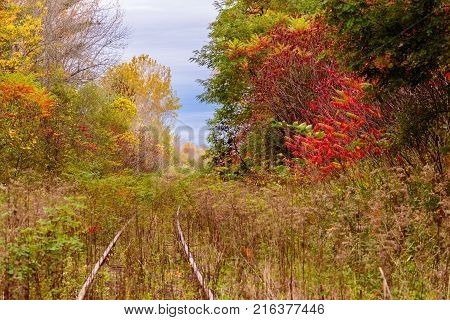 An old overgrown abandoned bygone railway track in Hudson Quebec Canada, surrounded by a blaze of fall colors.