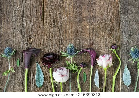 growing, environment, arrangement concept. on the very rough surface of wooden table there are different types of flowers carefully arranging, with free space for text