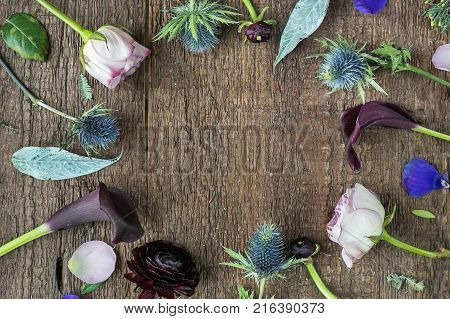 planting, growing, background concept. different flowers, some of them rich and created by breeding process, others are simple, but still beautiful like thistle