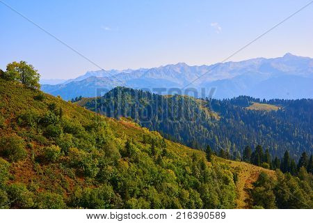 Good summer day in the mountains of the Caucasian Ridge