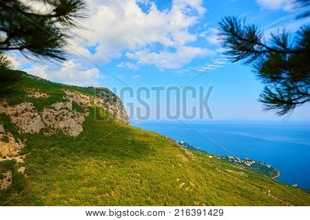 View of the sea from the cliff