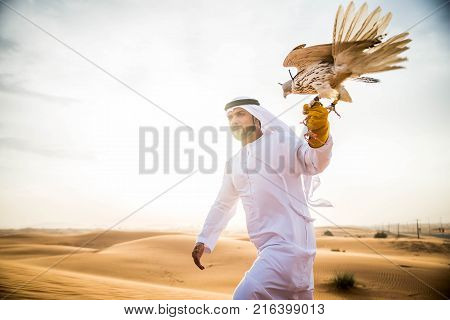 Arabian man walking in the desert at sunrise