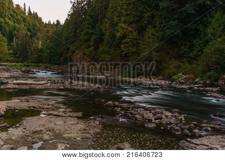 Fast mountain creeck or river in green wet forest