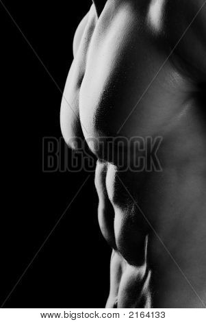 Torso maschile