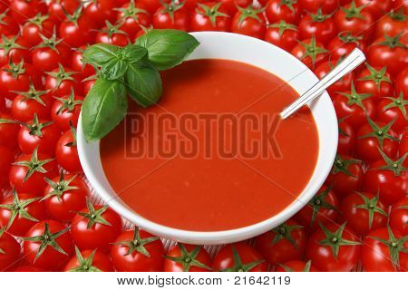 Čerstvá rajčatová polévka