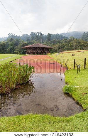 Fish Swim In A Pond At The Recinto Del Pensamiento Nature Reserve Near Manizales Colombia.