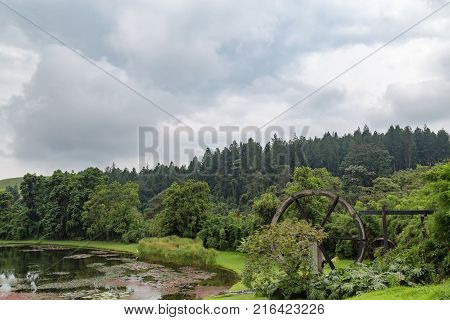 Pond And Forest At The Recinto Del Pensamiento Nature Reserve Near Manizales Colombia.