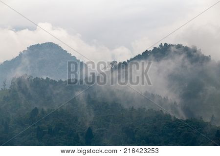 Cloud Forest Near The Recinto Del Pensamiento Nature Reserve Near Manizales Colombia.