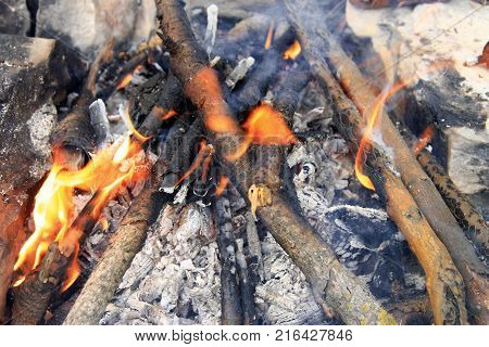 Bonfire in the forest ready for barbeque