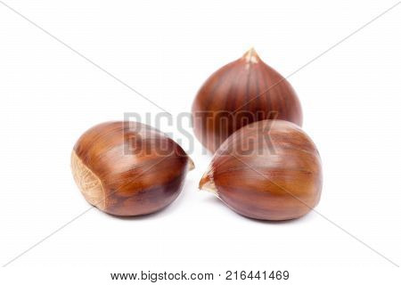 Fresh ripe chestnuts isolated on white background