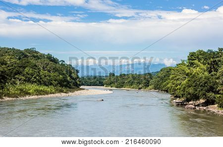 Amazonian rainforest. Napo River. Napo province Ecuador
