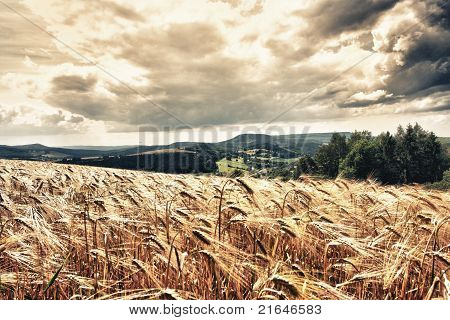 Sommer