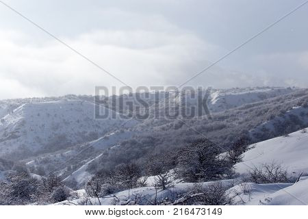 snowy slopes of the Tien Shan Mountains .