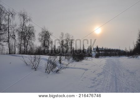 Winter evening landskape with snow, forest and cold sun. Frosty sundown