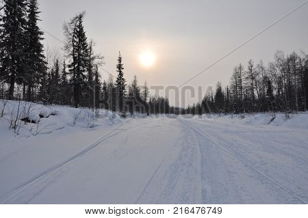 Winter evening landscape with snow, forest and cold sun. Frosty sundown