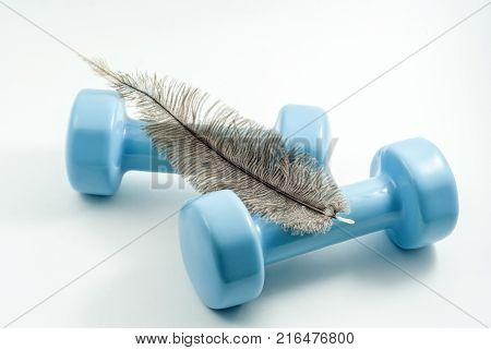 pair of light blue dumbbells for fitness training and lying over them an ostrich feather on a white background
