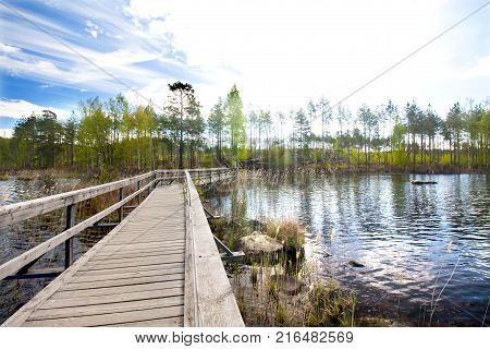 Beautiful Lake In The National Park Repovesi, Finland, South Karelia.