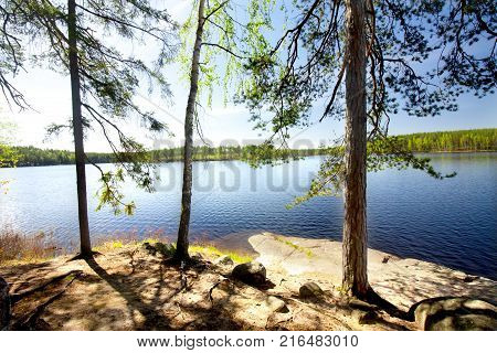 Beautiful Lake In The National Park Repovesi, Finland, South Karelia.