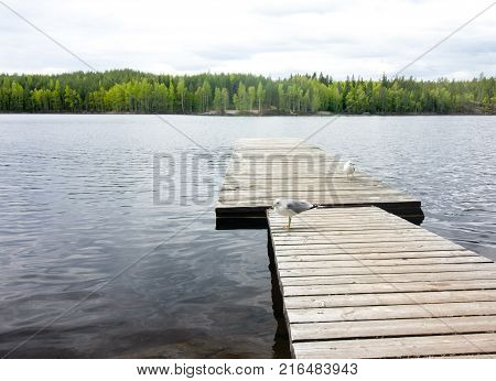 Beautiful Lake In The National Park Repovesi, Finland, South Karelia.