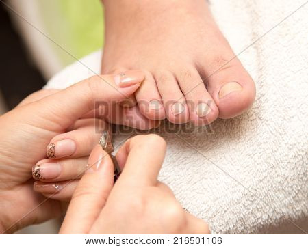 pedekyur in the beauty salon . Photos in the studio