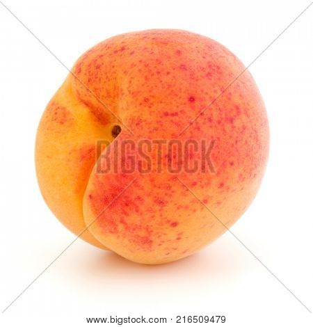 One apricot isolated on white background cutout