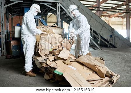 Portrait of two factory workers wearing biohazard suits sorting reusable cardboard on recycling plant, copy space