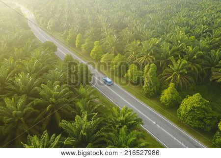 Aerial View Of Mount Baling, With Padding Field View Before Sunrise.