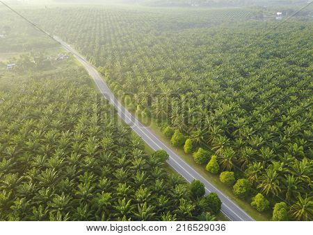 Aerial View Of Mount Baling, With Padding Field View Before Sunrise.