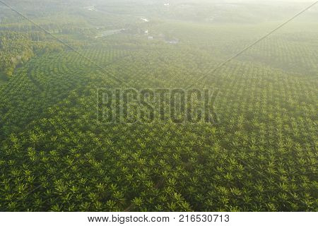Aerial View Of Mount Baling, With Padding Field View Before Sunrise.