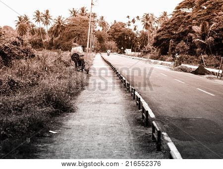 Road with woods on both Sides with Vintage look