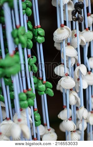 Art Work and Craft Made From Sea Shells