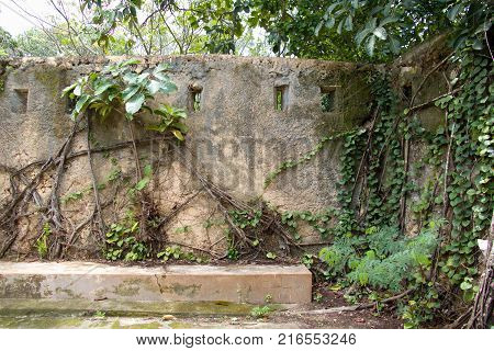 Decaying Historical City Stone Town In Zanzibar