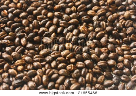 Mugicha, pirított árpa tea