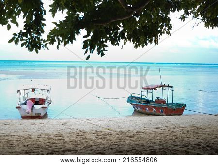 Small Boats on a Beach framed by leaves