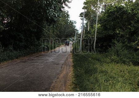 Narrow Road on an Island with greenery on both sides
