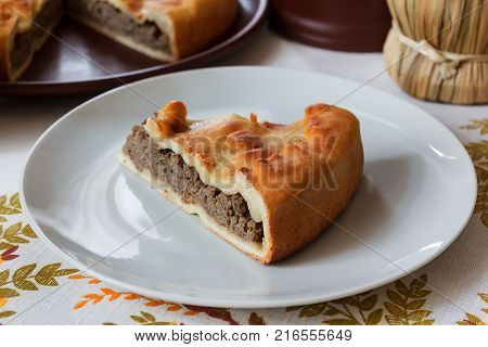 Piece of homemade pie with beef on a white plate