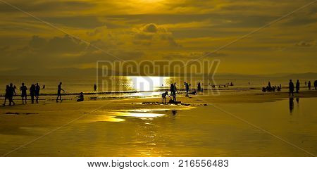 Golden Orange Sunset